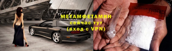 сатива Козловка