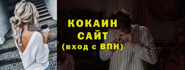 сатива Козловка