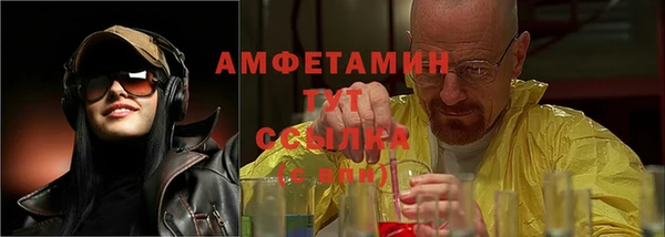 сатива Козловка