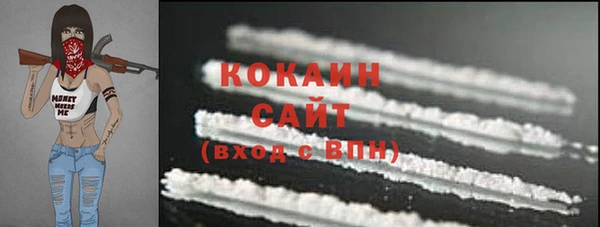 сатива Козловка
