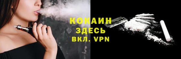сатива Козловка