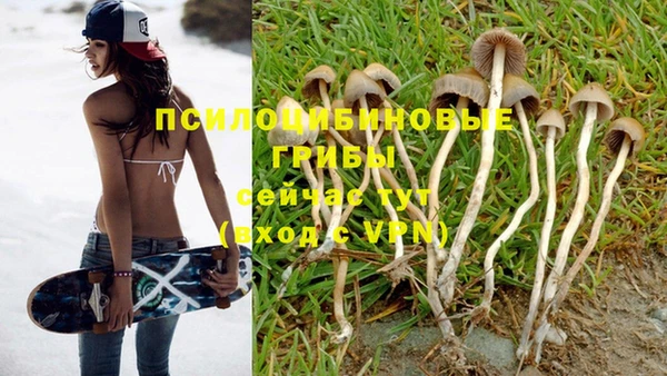 дурь Козельск