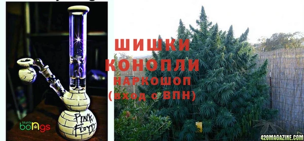 сатива Козловка