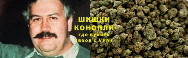 трава Кодинск