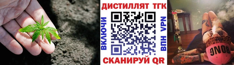 Купить  Новотроицк  ТГК концентрат 