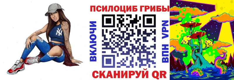 Псилоцибиновые грибы Psilocybine cubensis  Купить закладки  Новотроицк 